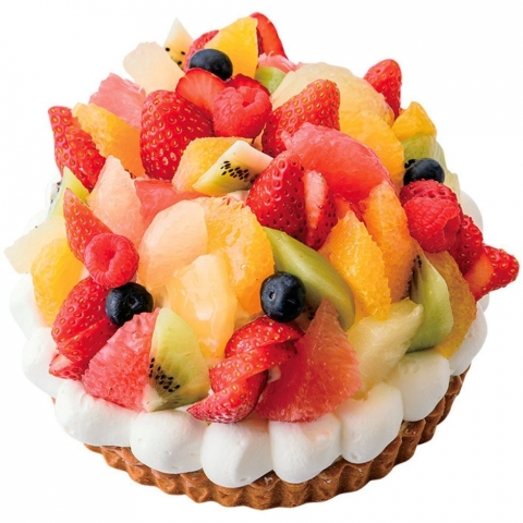 �t���[�c�^���g